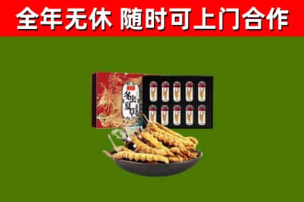威市烟酒回收冬虫夏草礼盒.jpg