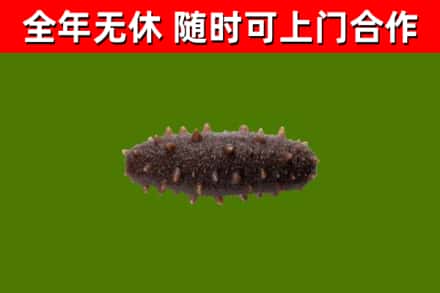 威市烟酒回收干海参.jpg